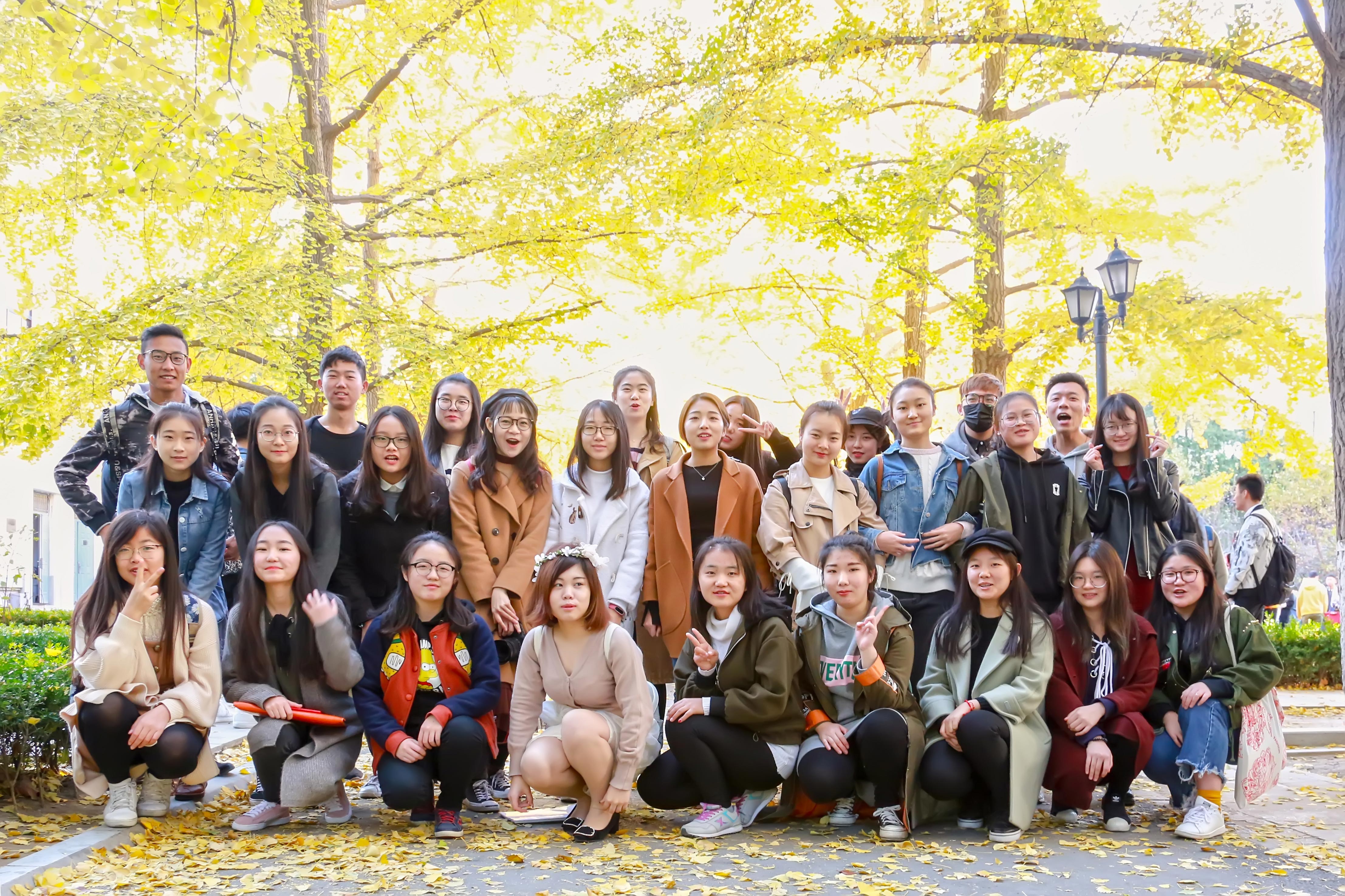 我们一起的银杏大道