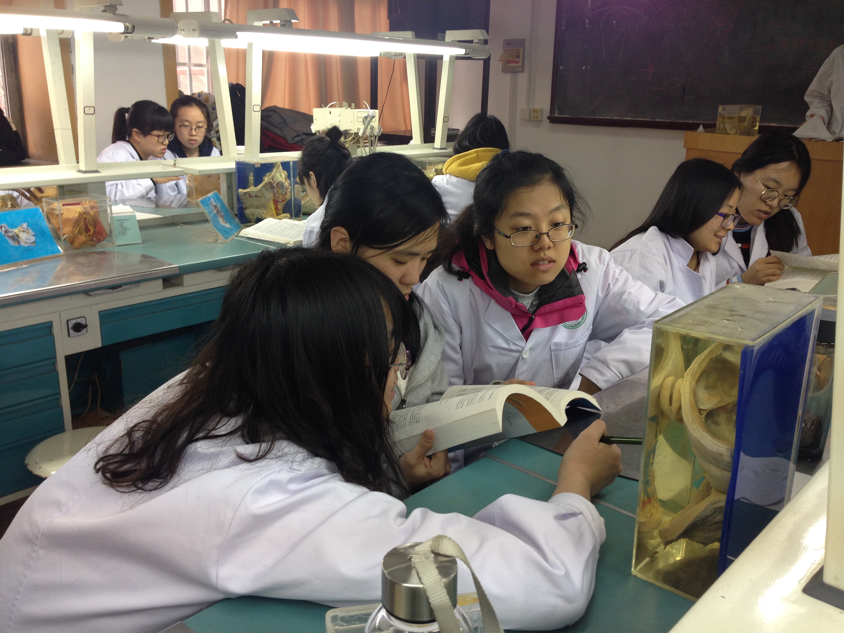 支部成员实验课上认真讨论