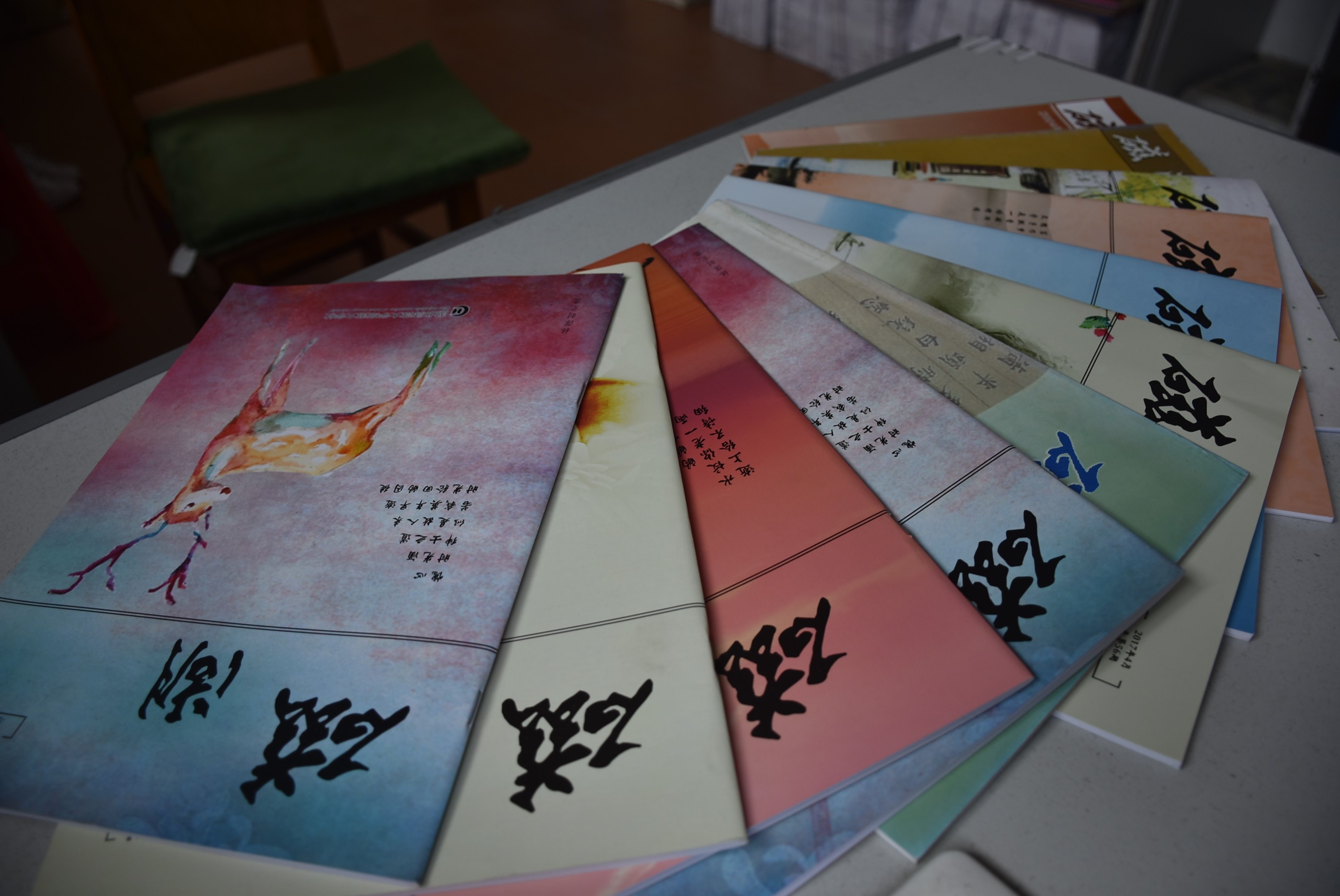 近两年磁湖文学社刊物——《磁湖》